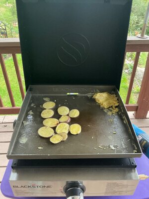 IMG_2037.jpeg