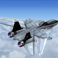 danvf101
