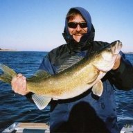 walleye1