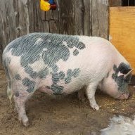 7lfarm