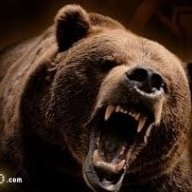 AngryBruin