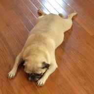 Lazy Pug BBQ