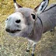 xbubblehead