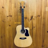 guitaracoustic613