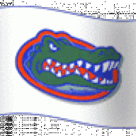 jaxgatorz