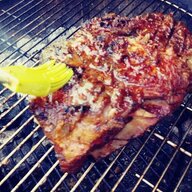 polkadot rib