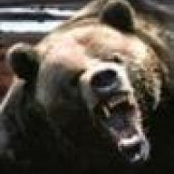 papa bear