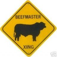 theycallmebeefy