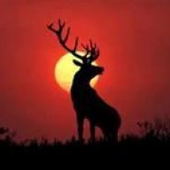 elk4me