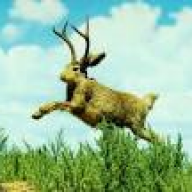 jackalope