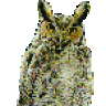 Wise Old Owl