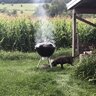 moober
