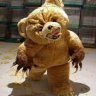 cubbybear