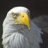 silver-eagle