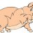 pootin pig