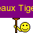 haricot rouge