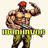 IronHavoc