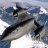 blackbird