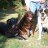 bigdogs