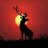 elk4me