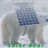 solarbear