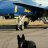blackdog2086