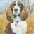 rigundog