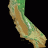 norcalfrog