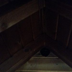 20151026_164627.jpg