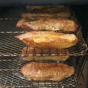 Smoked CSRs 4- after 1 hour.jpg