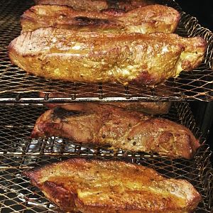 Smoked CSRs 5- after 2 hours.jpg