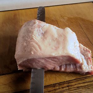 pig 1.jpg