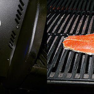 Salmon in the Smoker 1.jpg