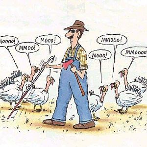 Thanksgiving1.jpg