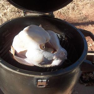 Turkey Bg steelkeg.JPG