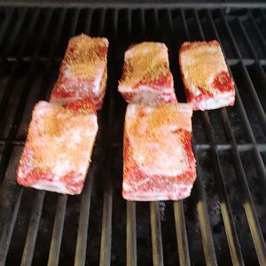 Old Fat Guy Smoked Short Ribs 04.jpg