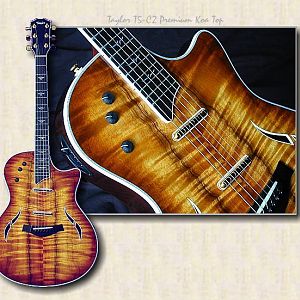 taylor_T5_C2_premium_koa.jpg