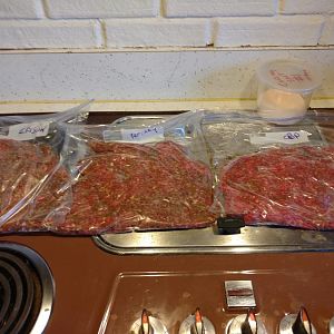 IMG_20151120_154946170.jpg