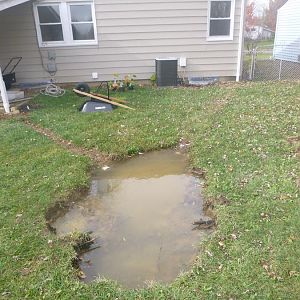 backgardenshot.jpg