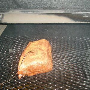 PB210004.JPG