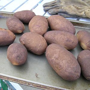 30.JPG