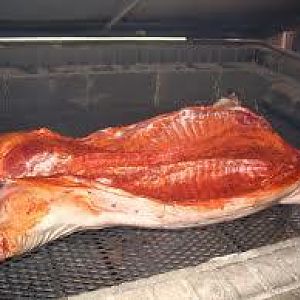 whole hog.jpg