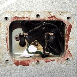 image1.JPG