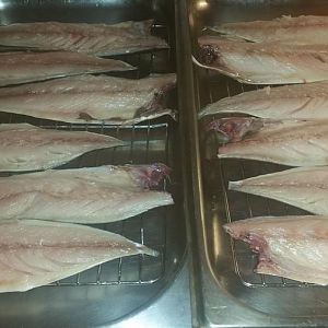 Mackerel filleted.jpg