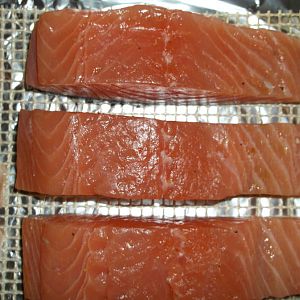 11-26 pellicle.JPG