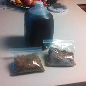 IMG_20151124_133030_691 - Copy.jpg