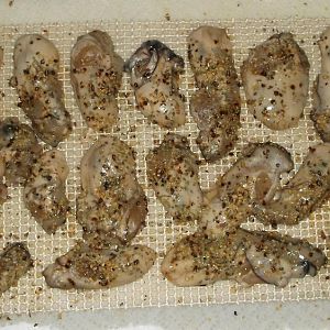 oysters 11-15 001.JPG