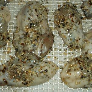 oysters 11-15 002.JPG