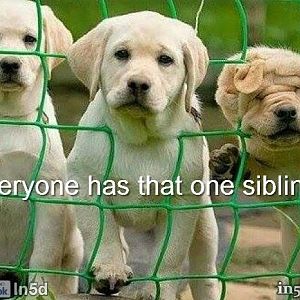 Sibling.jpg