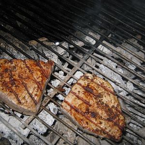 IMG_1355.JPG